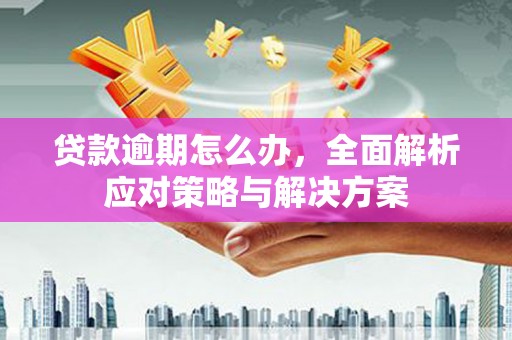 金塔贷款逾期怎么办，全面解析应对策略与解决方案